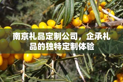 南京礼品定制公司，企承礼品的独特定制体验