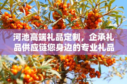 河池高端礼品定制，企承礼品供应链您身边的专业礼品定制公司