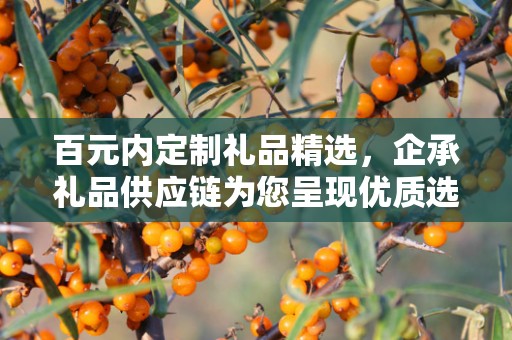 百元内定制礼品精选，企承礼品供应链为您呈现优质选择